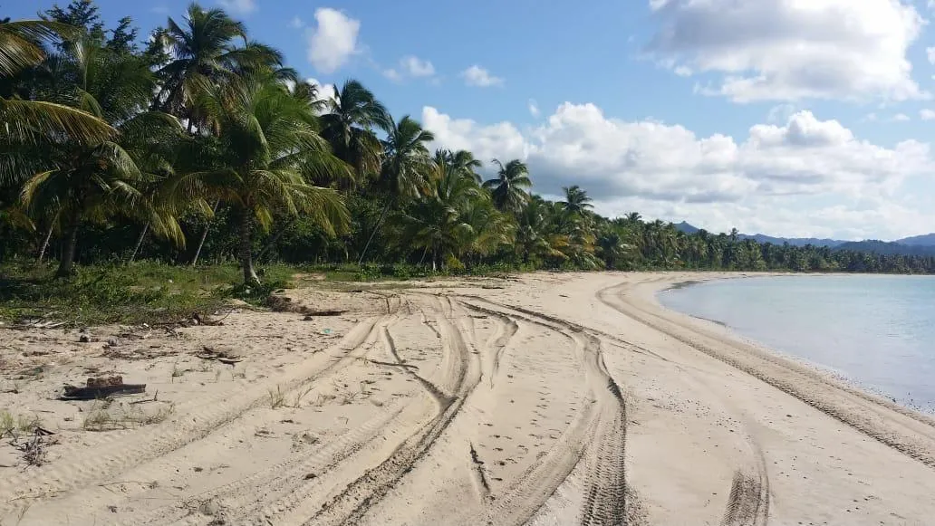 Vista principal de Terreno en Primera Línea de Playa – Miches, República Dominicana