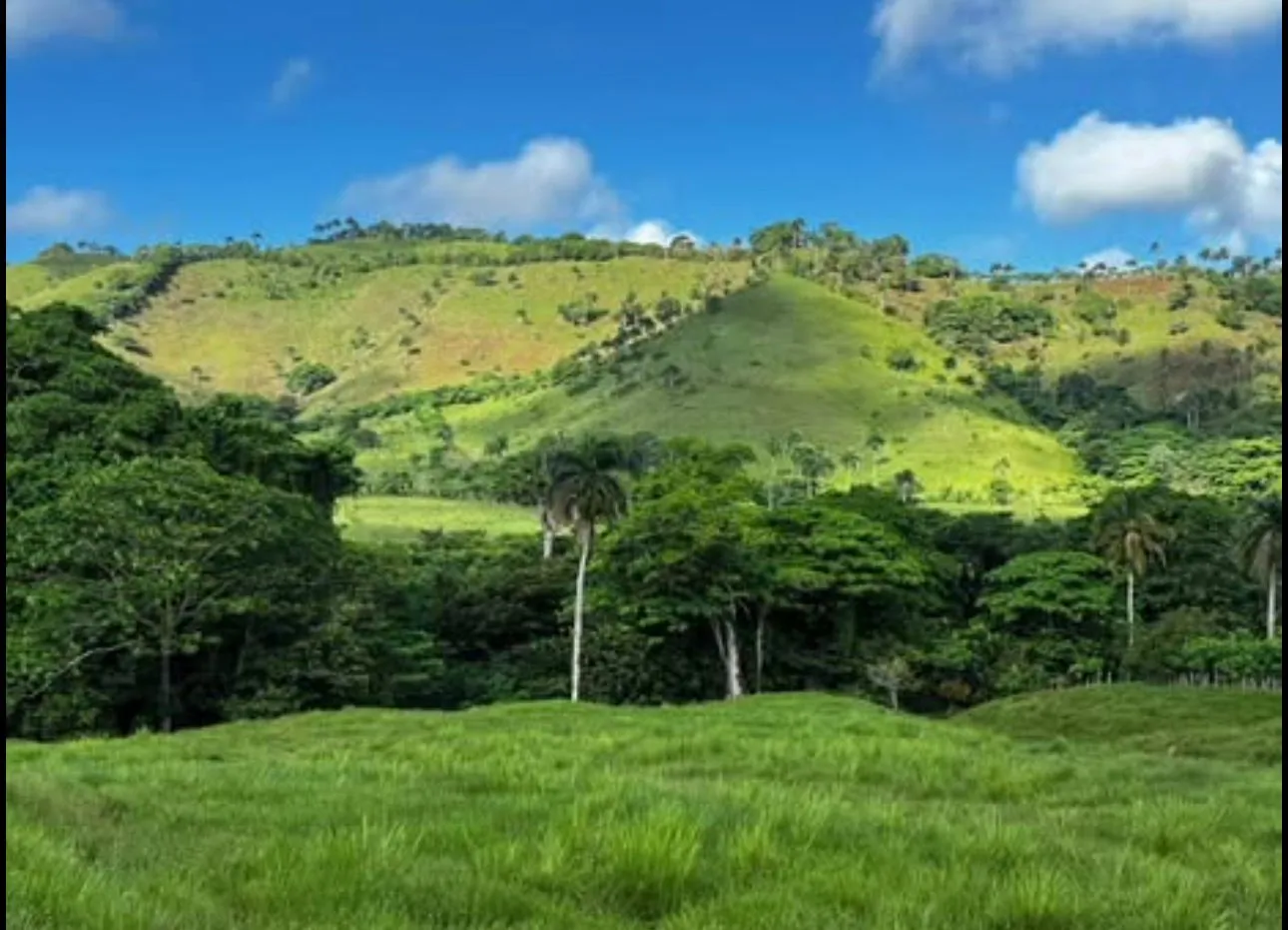 Vista principal de se vende hermosa finca en anamuya higüey