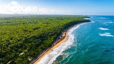 Vista principal de espectacular terreno en primera línea de playa en la vacama de nisibón higüey